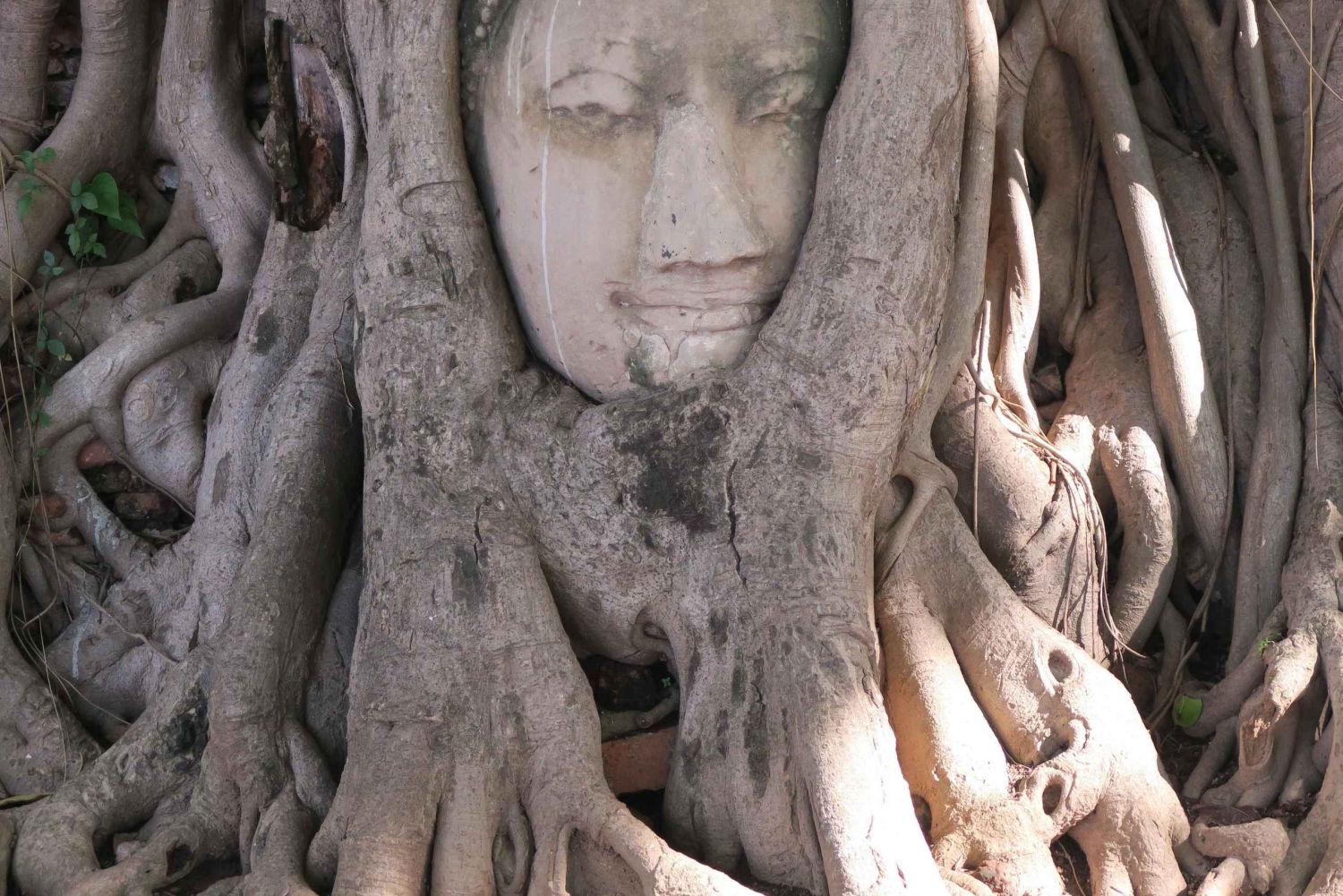 Bangkok: tour privado por Ayutthaya, Patrimonio de la Humanidad de la UNESCO