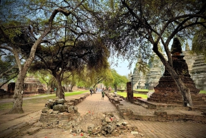 Bangkok: tour privado por Ayutthaya, Patrimonio de la Humanidad de la UNESCO