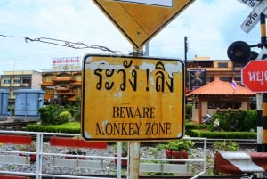 Bangkokissa: Apinakaupunki Lopburiin: Yksityinen autonvuokraus
