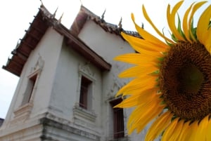 Bangkok: Wypożycz prywatny samochód do miasta małp Lopburi