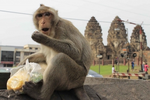 Bangkok: Private Car Hire to Lopburi the Monkey City