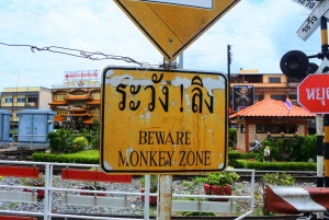 Bangkok: Private Car Hire to Lopburi the Monkey City