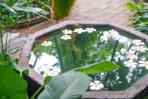 Bangkok: Private City Highlights Tour with Guide