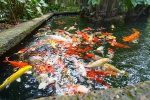 Bangkok: Private City Highlights Tour with Guide