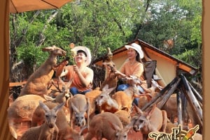 Bangkok: Tour privato per famiglie con safari e crociera con cena sul fiume