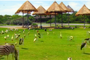 Bangkok: Private Family Tour to Safari & River Dinner Cruise