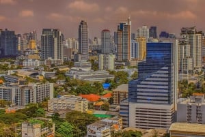Bangkok: Carro com motorista e guia à disposição para city tour
