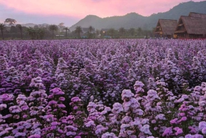 Bangkokissa: Bangkok: Yksityinen Khao Yai päiväretki