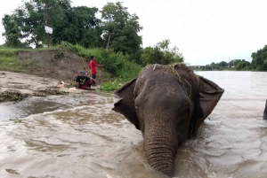 Bangkok: alquiler de coches de lujo privados con conductor profesional