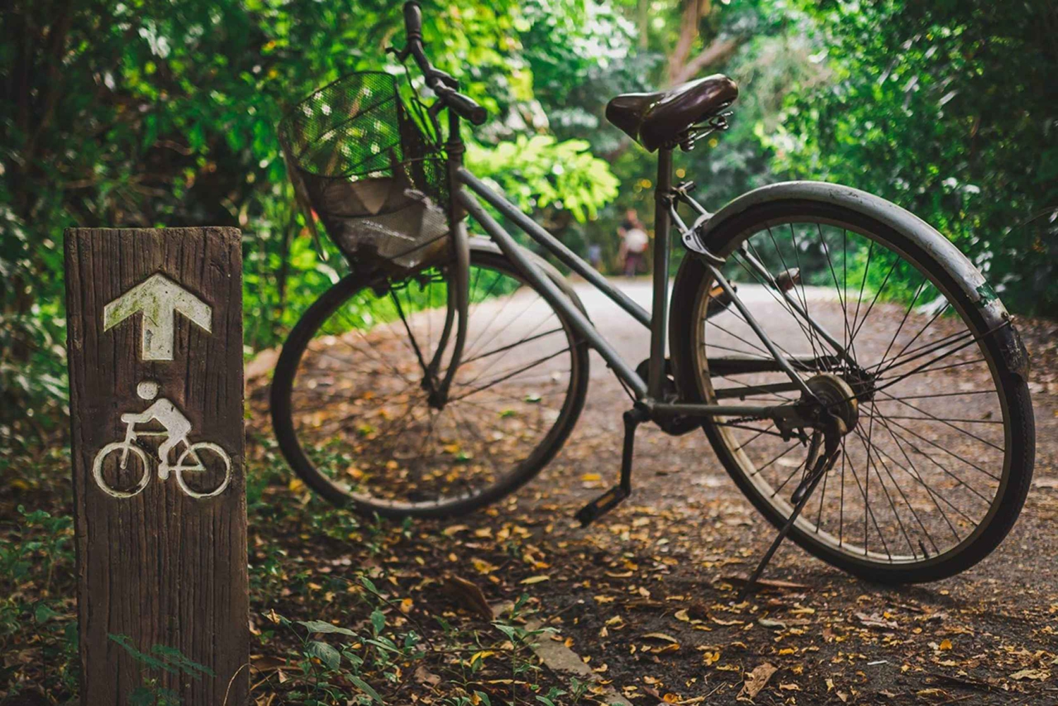 Bangkok: Privat tur Bang Kachao og Bang Nam Phueng