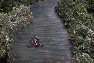 Bangkok: Privat tur Bang Kachao og Bang Nam Phueng