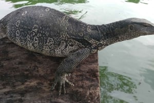 バンコク現地ガイドによるプライベートツアー