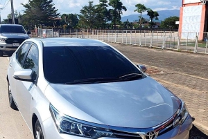 Bangkok: Traslado privado a Pattaya