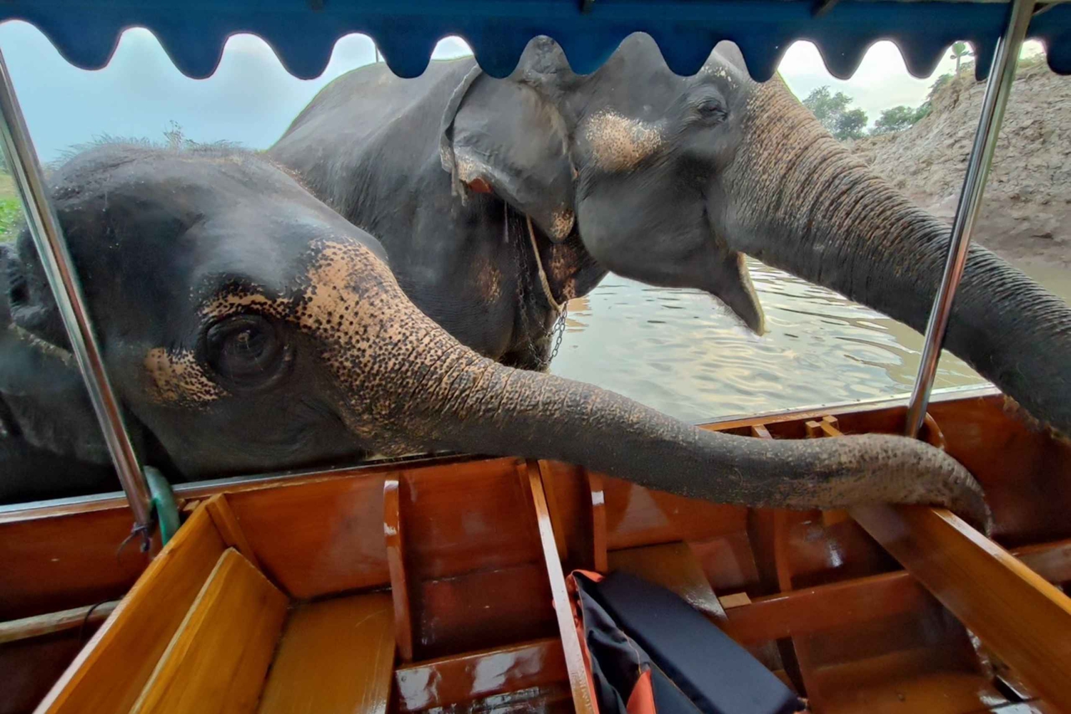 Bangkok: Privater Ausflug zu Ayutthaya-Tempeln und Nachtmarkt
