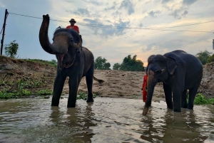 Bangkok: Prywatna wycieczka do świątyń Ayutthaya i nocnego targu