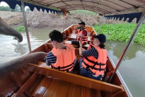 Bangkok: Prywatna wycieczka do świątyń Ayutthaya i nocnego targu
