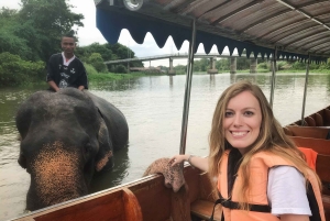 Bangkok: Prywatna wycieczka do świątyń Ayutthaya i nocnego targu