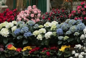 بانكوك: جولة توك توك ليلية خاصة مع مرشد سياحي مباشر