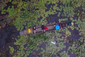 Бангкок: однодневная экскурсия на рынок Красного Лотоса и в древний Аюттайю