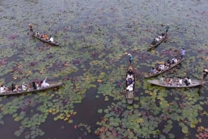Бангкок: однодневная экскурсия на рынок Красного Лотоса и в древний Аюттайю