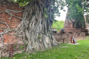 Бангкок: однодневная экскурсия на рынок Красного Лотоса и в древний Аюттайю