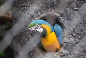 Bangkok Safari & Marine Park