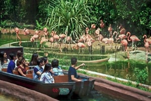 Bangkok: Safari Park & Marine Park Ticket with Buffet Lunch