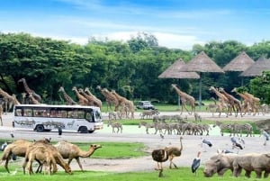 Bangkok: Safari Park & Marine Park Ticket with Buffet Lunch