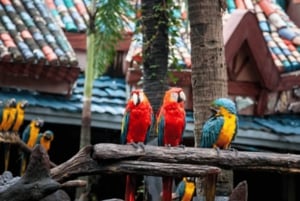 Bangkok: Safari Park & Marine Park Ticket with Buffet Lunch