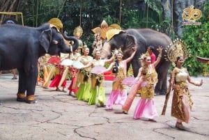 Bangkok: Biglietto d'ingresso al Safari World e al Parco Marino e trasferimento