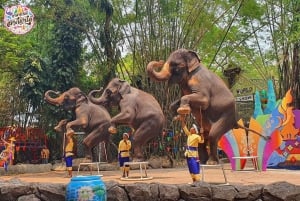 Bangkok: Safari World & Marine Park Inträdesbiljett & Transfer