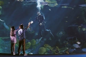 Бангкок: входной билет в SEA LIFE Bangkok и Madame Tussauds