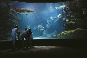 Бангкок: входной билет в SEA LIFE Bangkok и Madame Tussauds