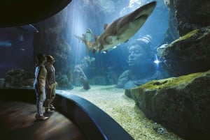 Бангкок: входной билет в SEA LIFE Bangkok и Madame Tussauds