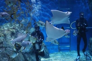 Бангкок: входной билет в SEA LIFE Bangkok и Madame Tussauds