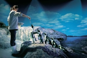 Бангкок: входной билет в SEA LIFE Bangkok и Madame Tussauds