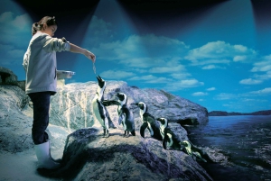 Бангкок: входной билет в SEA LIFE Bangkok Ocean World