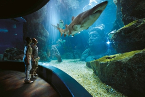 Бангкок: входной билет в SEA LIFE Bangkok Ocean World