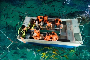 Бангкок: входной билет в SEA LIFE Bangkok Ocean World