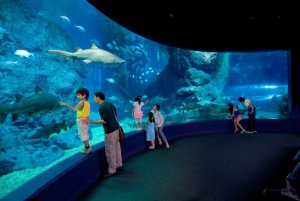 Бангкок: входной билет в SEA LIFE Bangkok Ocean World