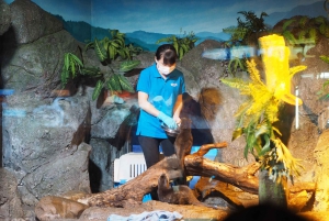 Бангкок: входной билет в SEA LIFE Bangkok Ocean World