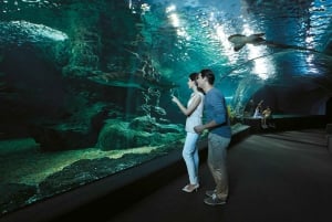 Бангкок: входной билет в SEA LIFE Bangkok Ocean World