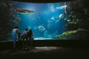 Бангкок: входной билет в SEA LIFE Bangkok Ocean World