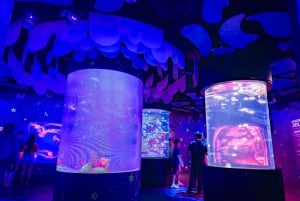 Бангкок: входной билет в SEA LIFE Bangkok Ocean World
