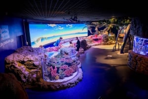 Бангкок: входной билет в SEA LIFE Bangkok Ocean World