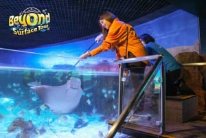 Бангкок: входной билет в SEA LIFE Bangkok Ocean World