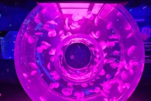 Бангкок: входной билет в SEA LIFE Bangkok Ocean World