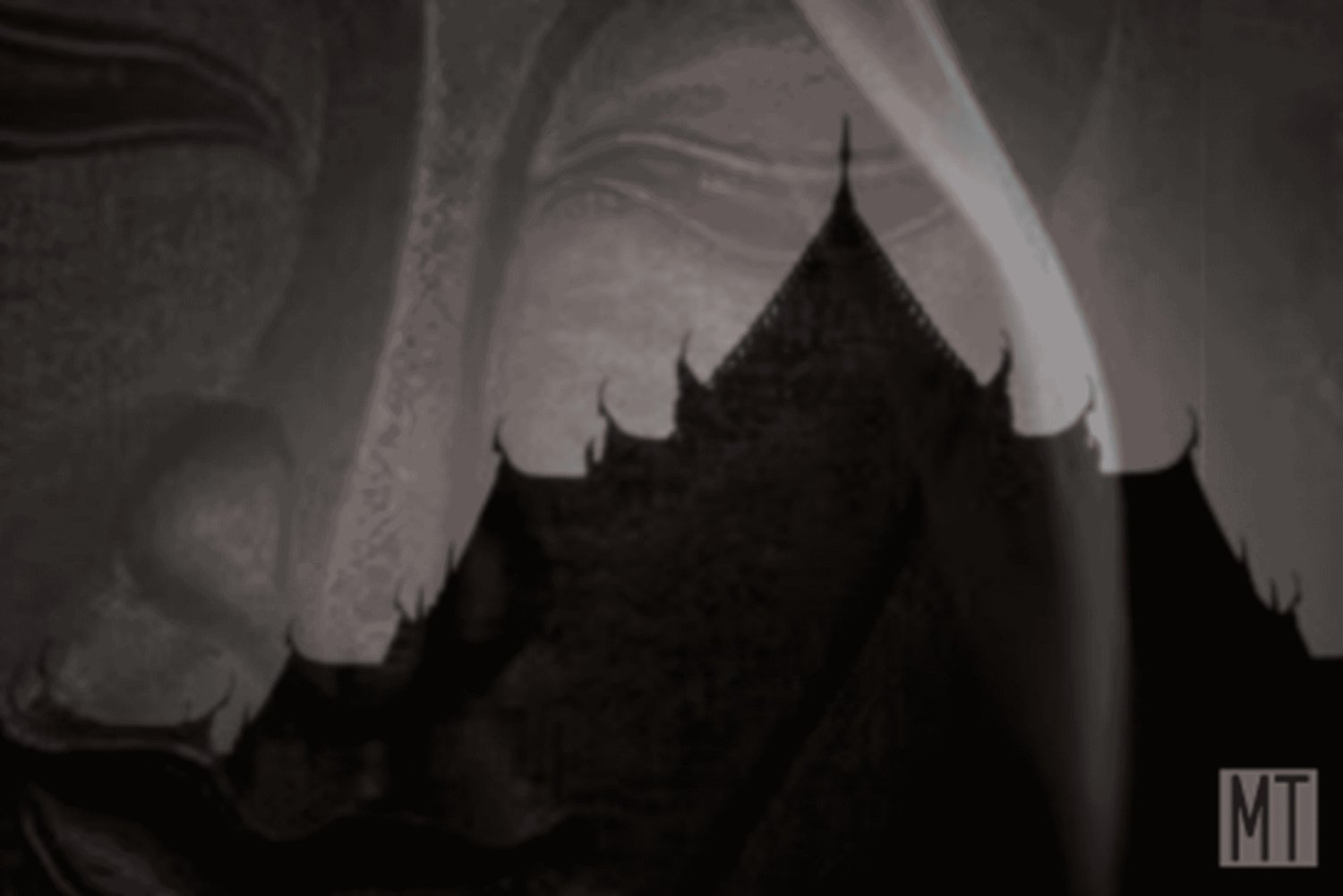 Bangkok Shadows: spoken, spookachtige tempels en duistere geheimen