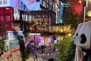 Bangkok: Soi Cowboy, Nana Plaza, tagterrasser og hemmelige klubber