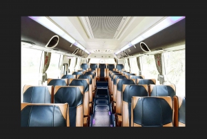 Bangkok: Suvarnabhumi Airport Bus transfer to/from Bangkok
